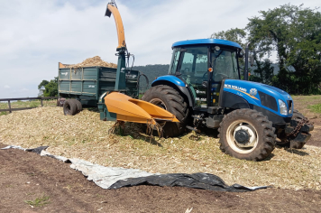 Agricultura | Prefeitura de Bofete