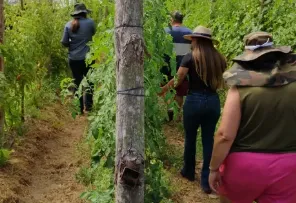 Visita à propriedade da Tasiane e do Carlos