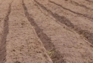 Levantamento de canteiros 